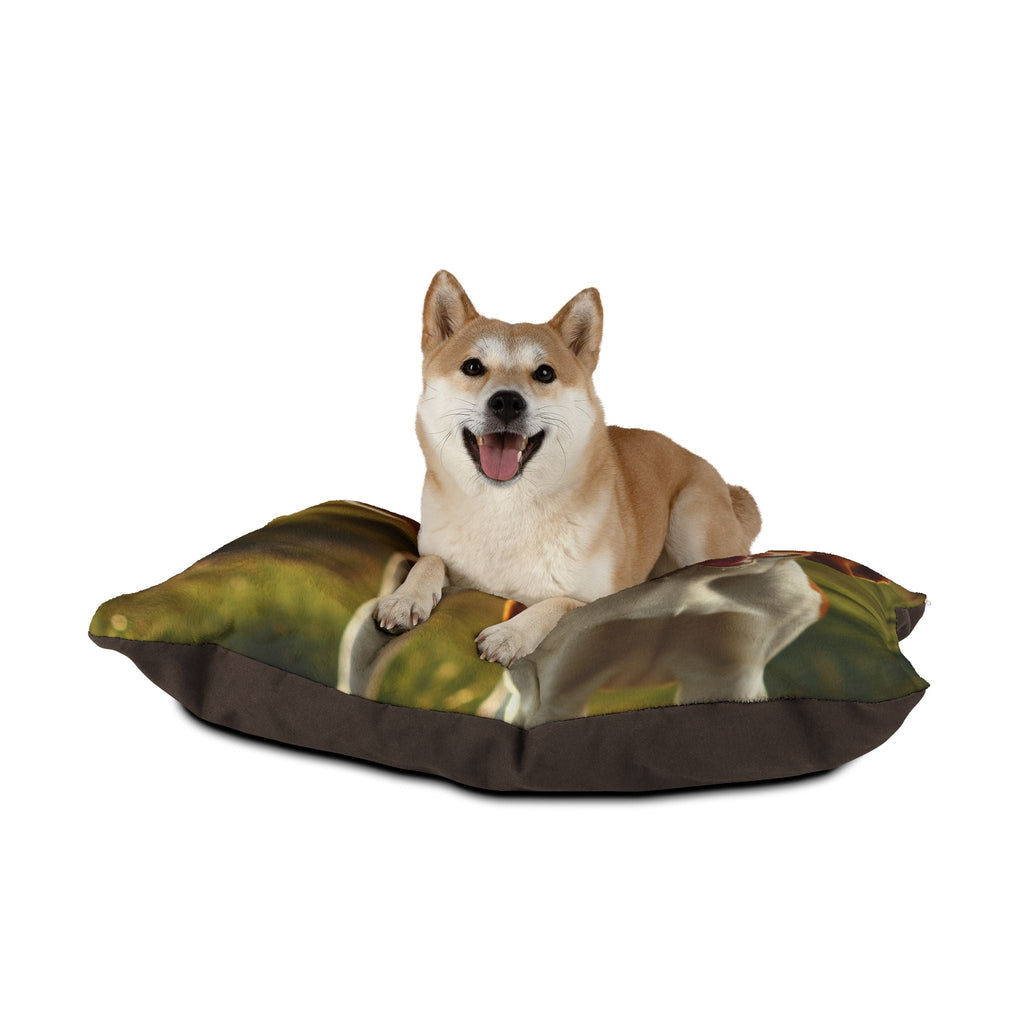 Pet Bed – Plush Dog Bed, 3 Size Options