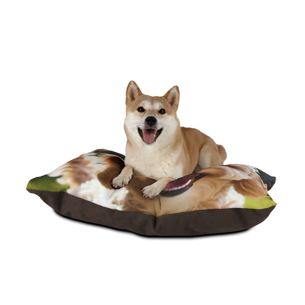 Pet Bed – Plush Dog Bed, 3 Size Options