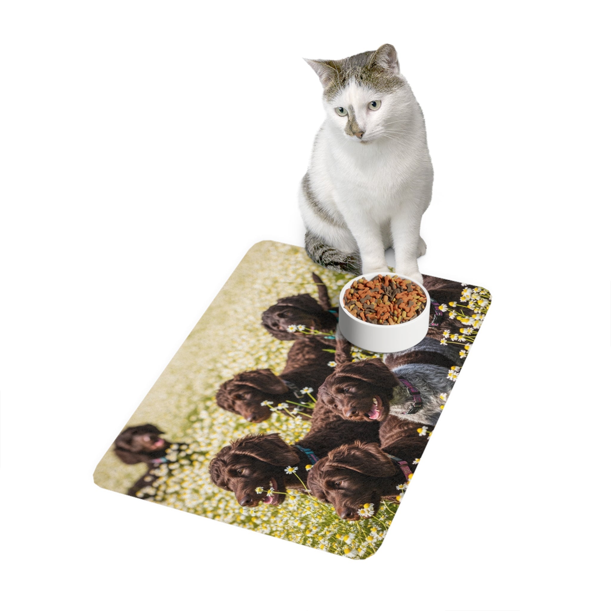 Non-Slip Pet Food Mat – Waterproof Feeding Mat for Dogs