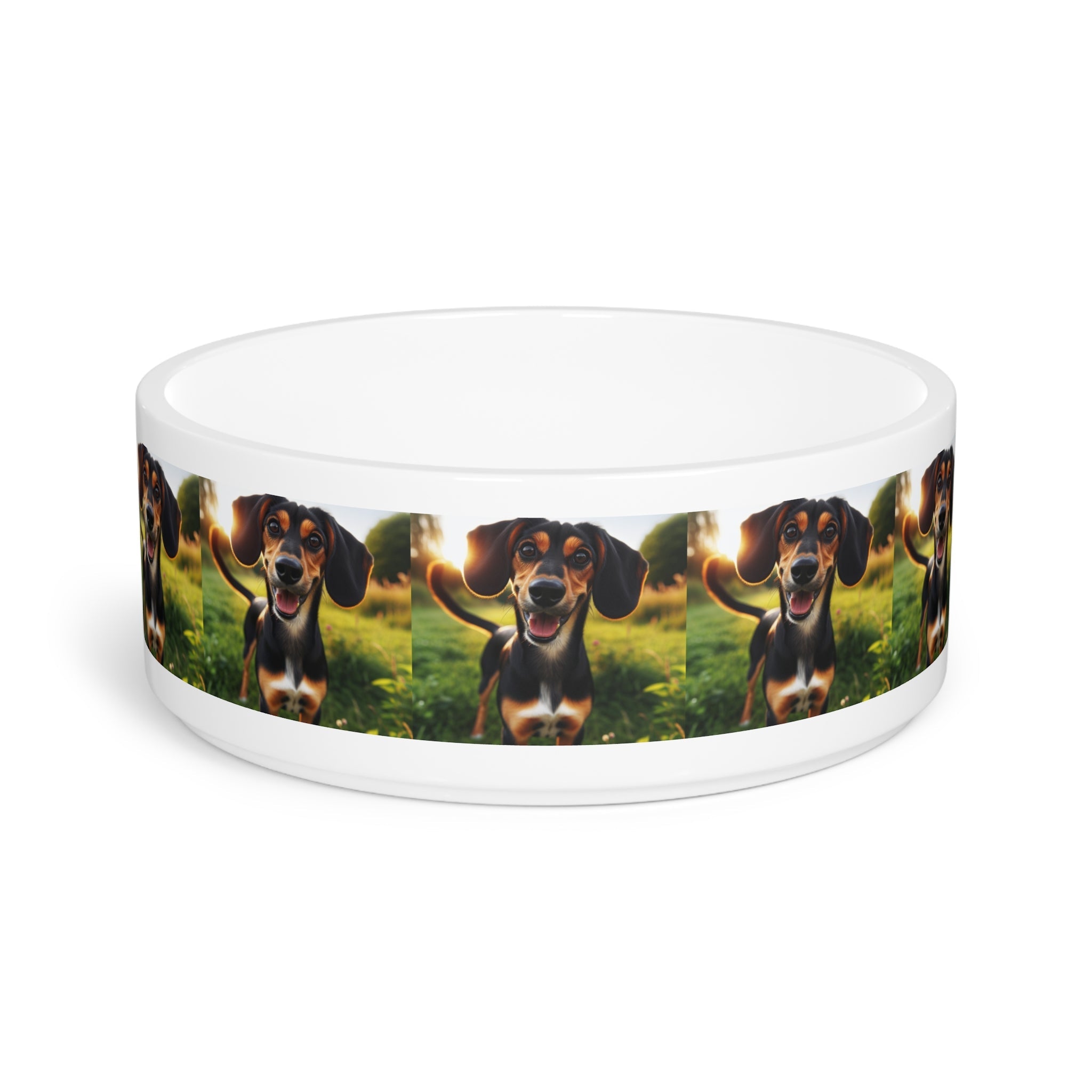 Ceramic Pet Bowl – 16 oz Dog Feeding Bowl