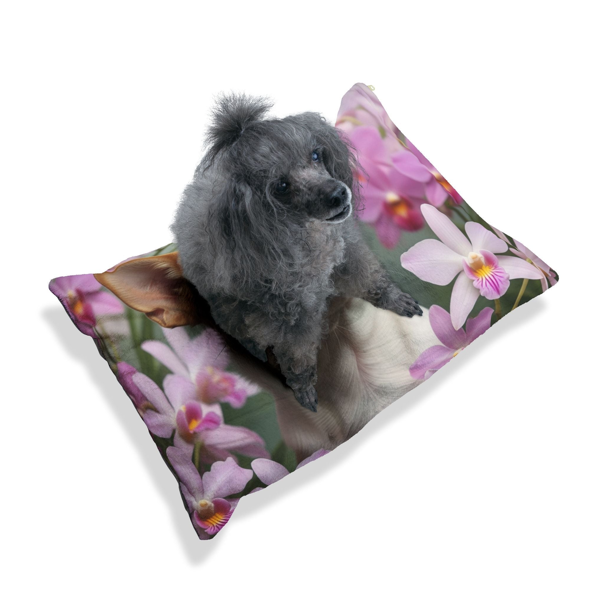 Pet Bed – Plush Dog Bed, 3 Size Options