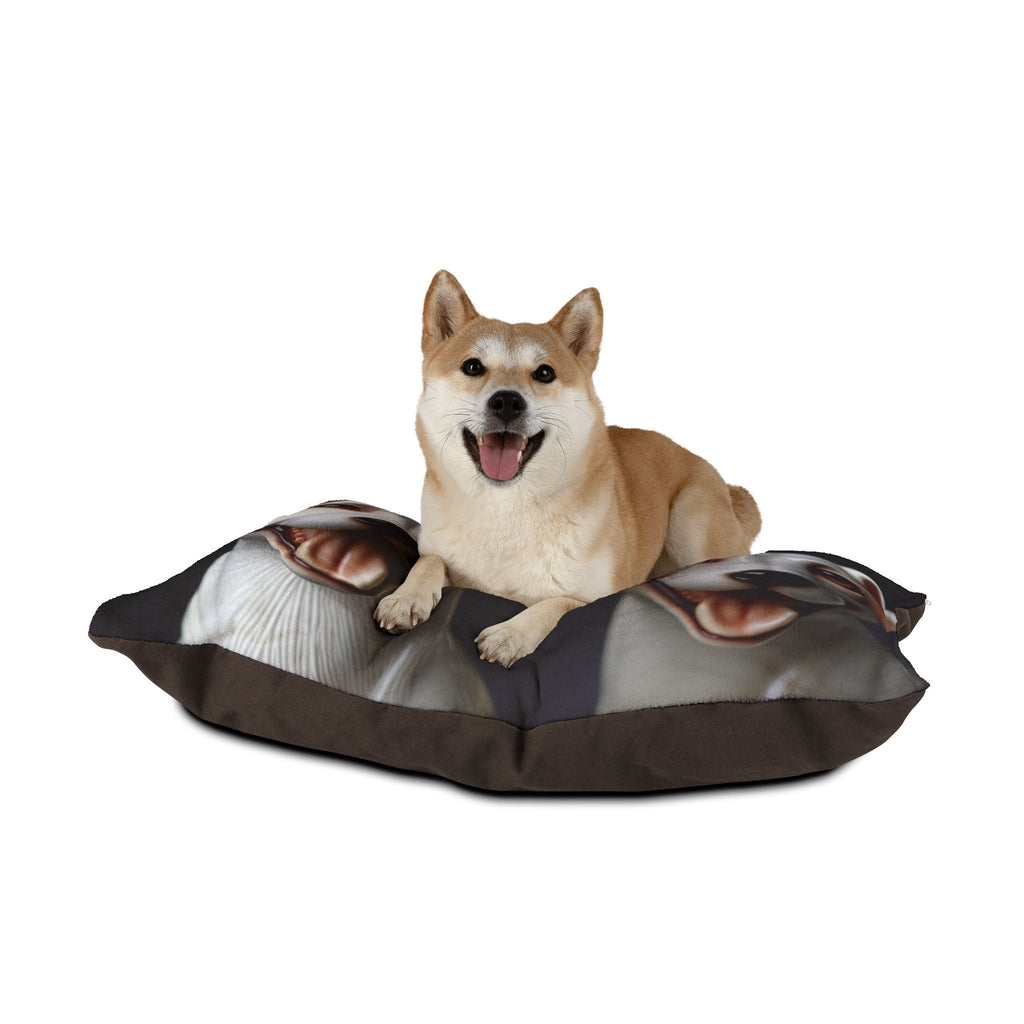 Pet Bed – Plush Dog Bed, 3 Size Options
