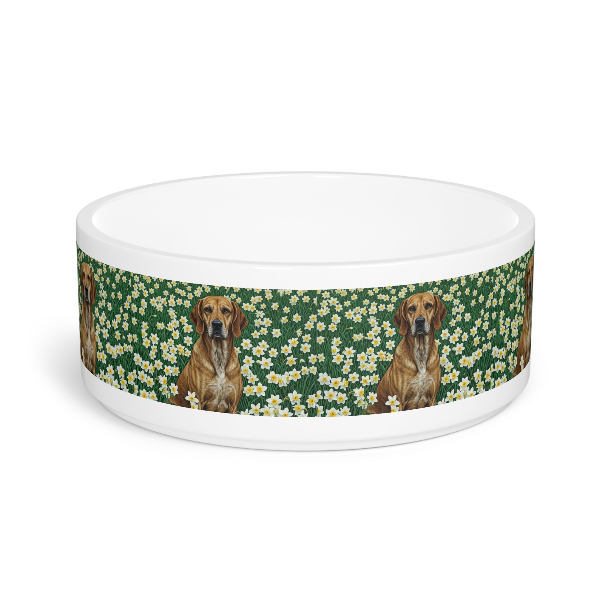 Ceramic Pet Bowl – 16 oz Dog Feeding Bowl