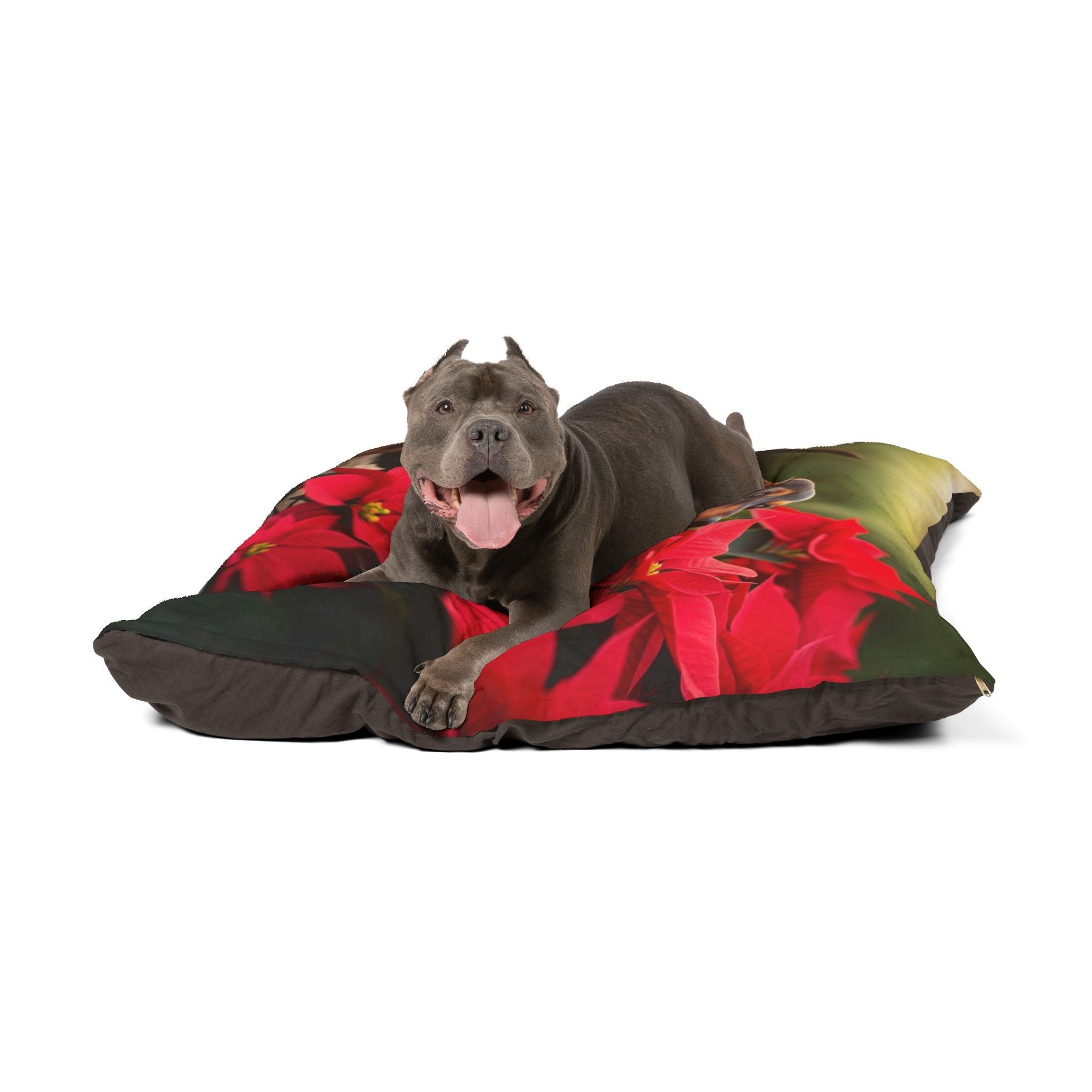 Pet Bed – Plush Dog Bed, 3 Size Options
