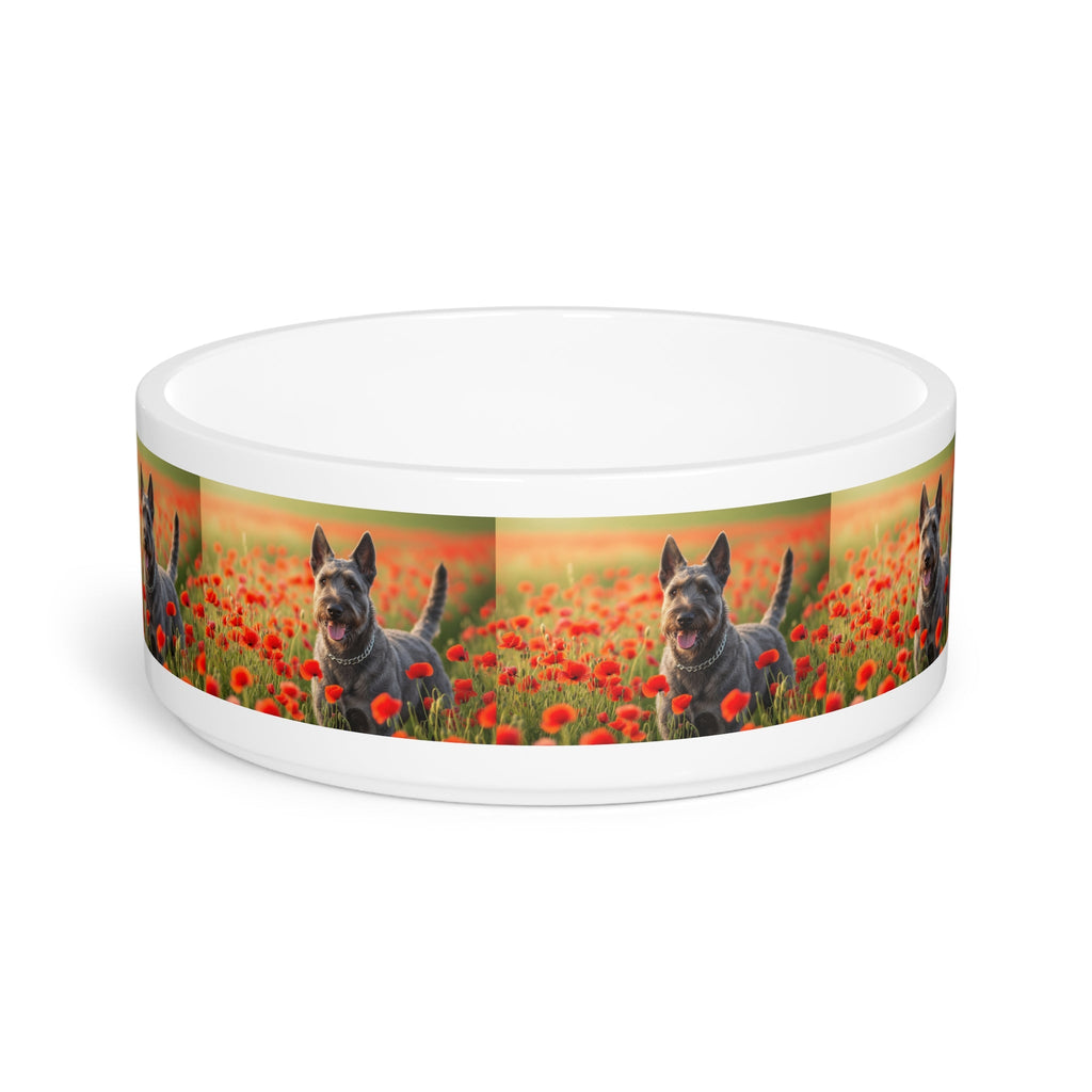 Ceramic Pet Bowl – 16 oz Dog Feeding Bowl