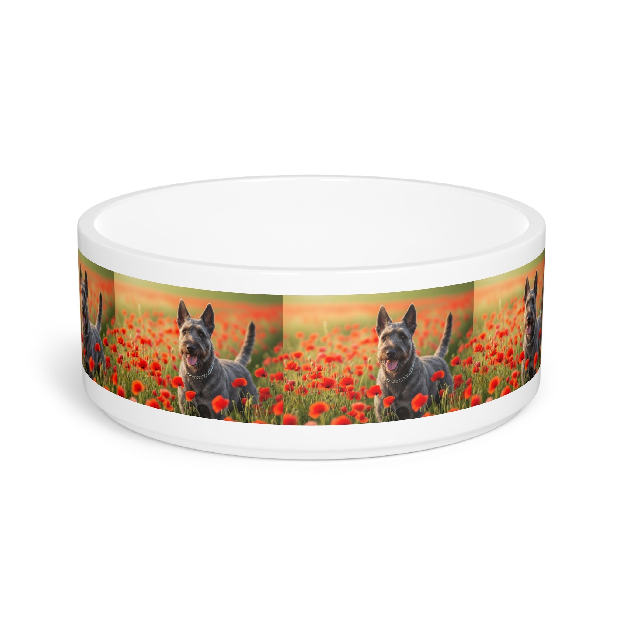 Ceramic Pet Bowl – 16 oz Dog Feeding Bowl