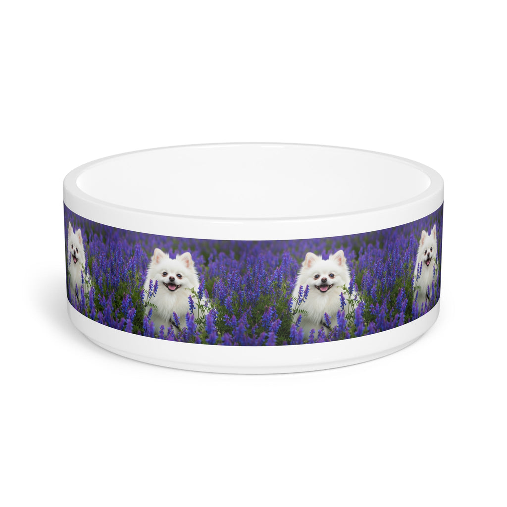 Ceramic Pet Bowl – 16 oz Dog Feeding Bowl
