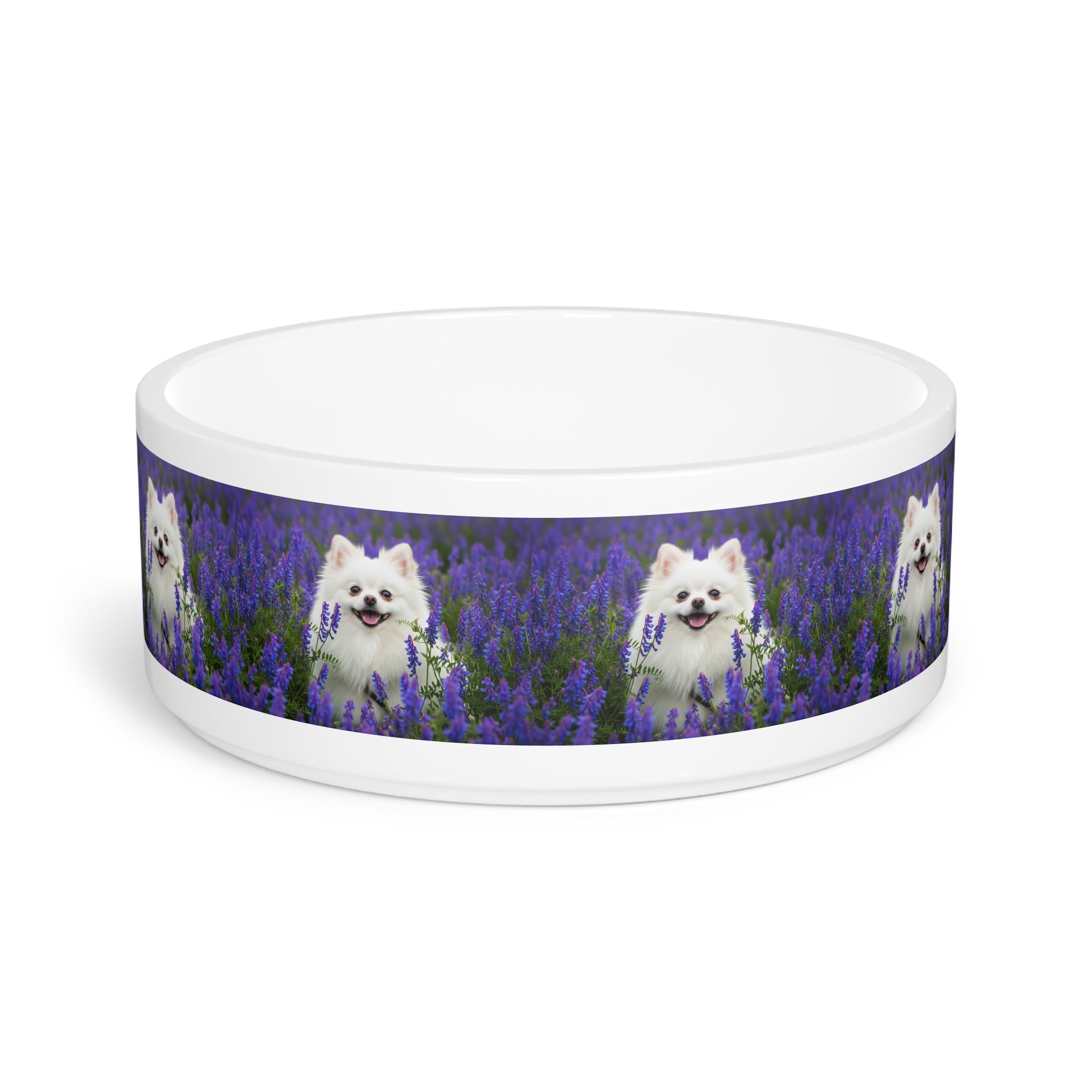 Ceramic Pet Bowl – 16 oz Dog Feeding Bowl