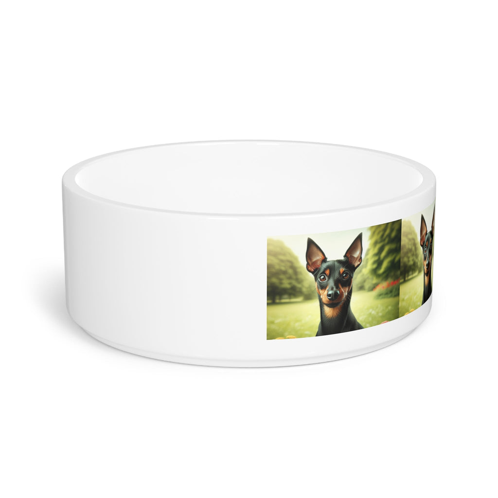 Ceramic Pet Bowl – 16 oz Dog Feeding Bowl