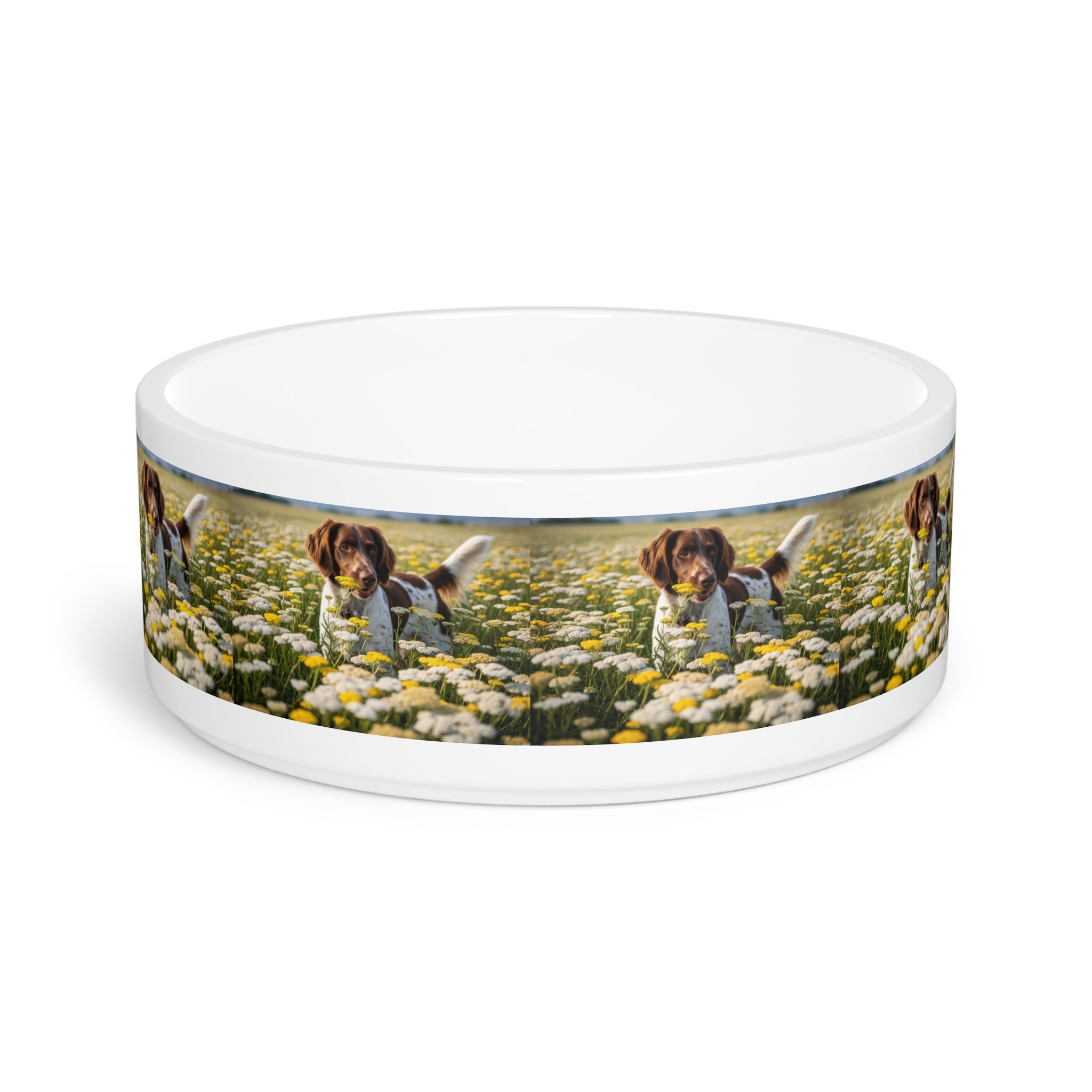 Ceramic Pet Bowl – 16 oz Dog Feeding Bowl