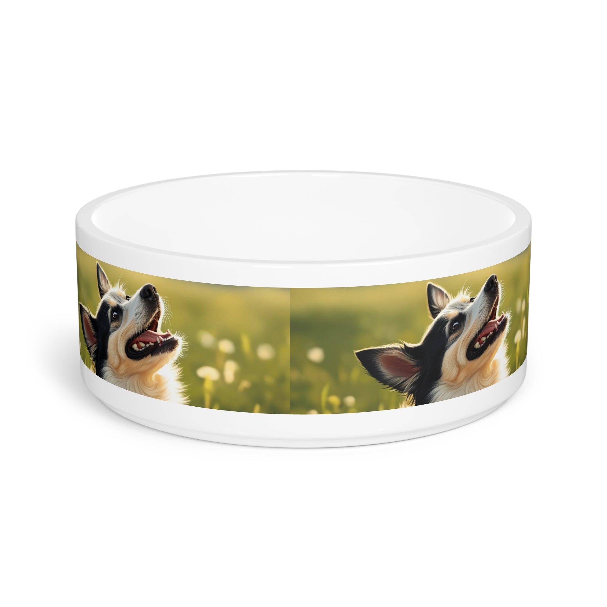 Ceramic Pet Bowl – 16 oz Dog Feeding Bowl