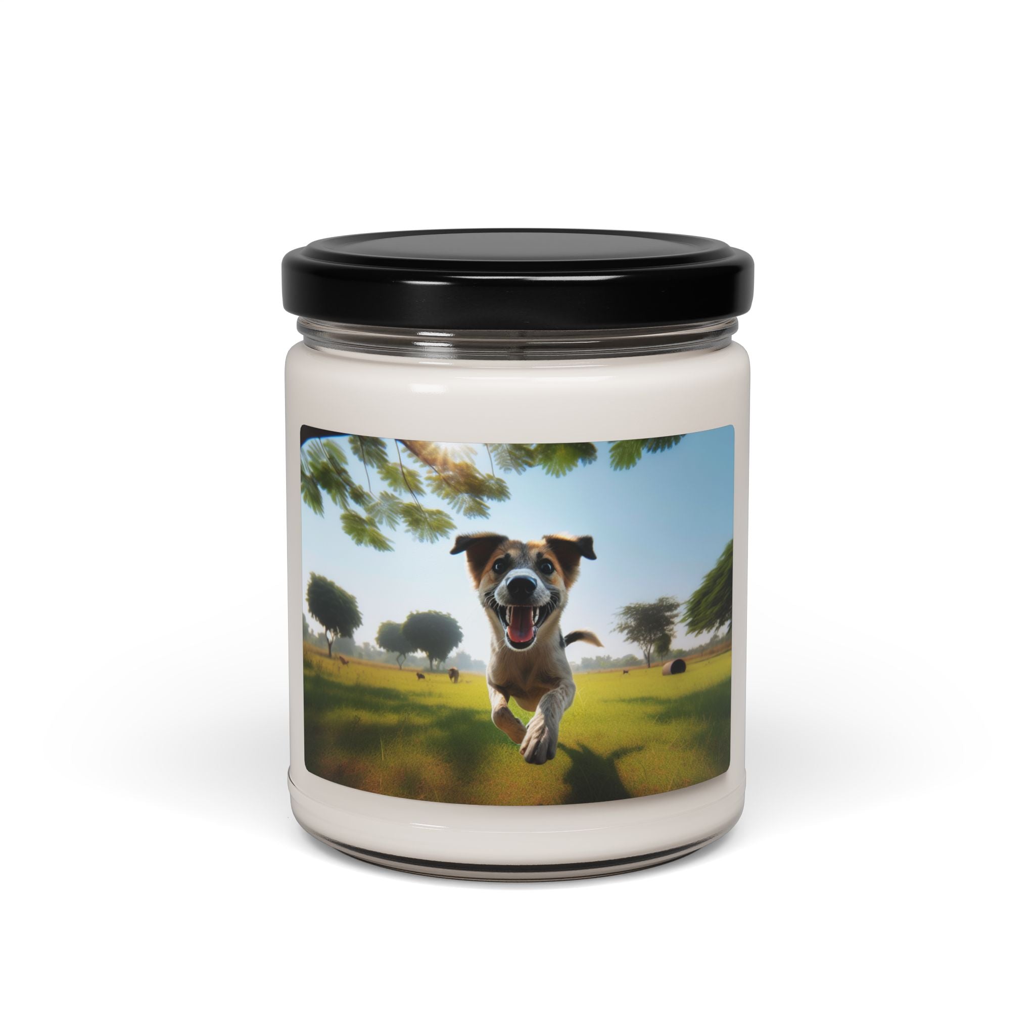 Soy Candle – Scented Jar Candle