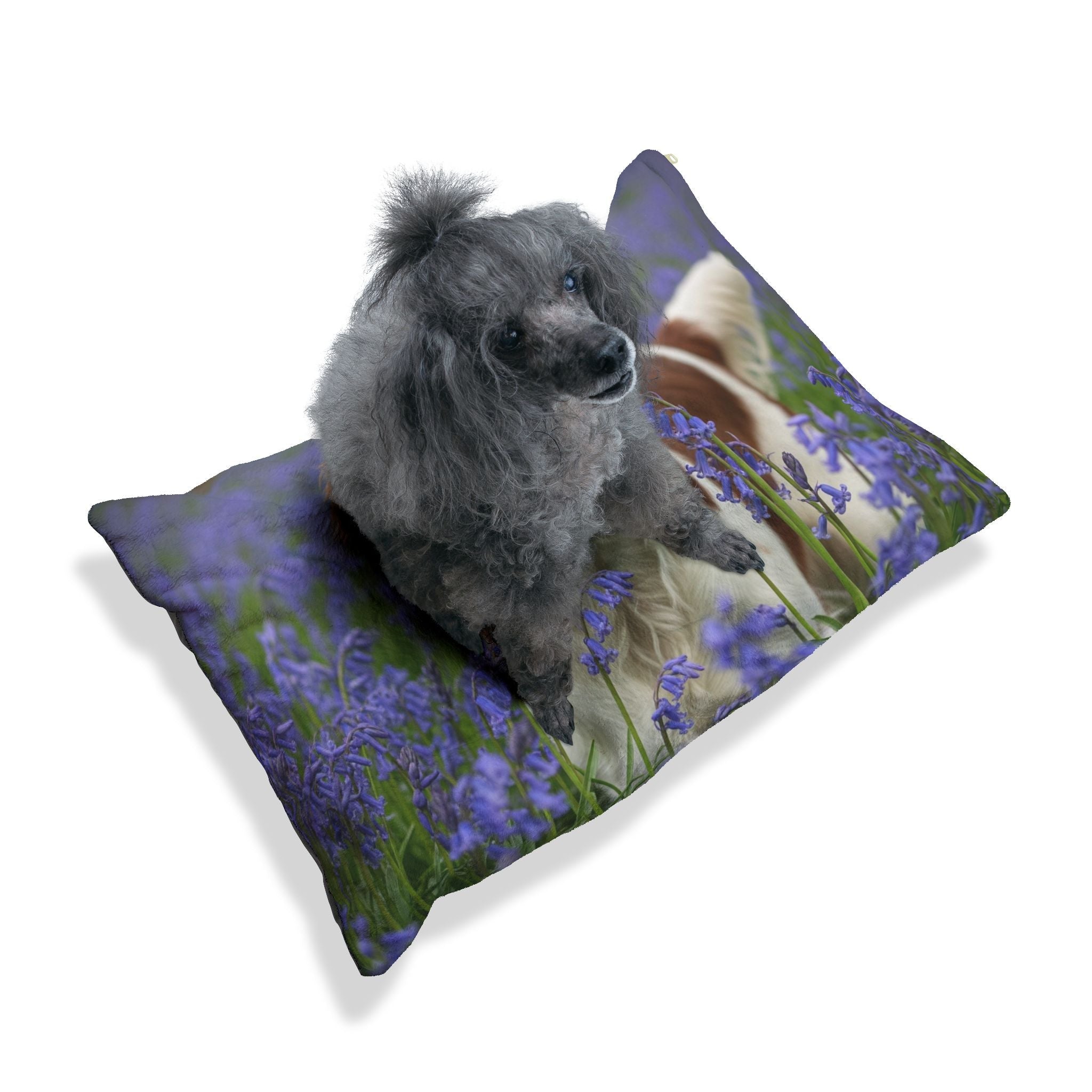 Pet Bed – Plush Dog Bed, 3 Size Options