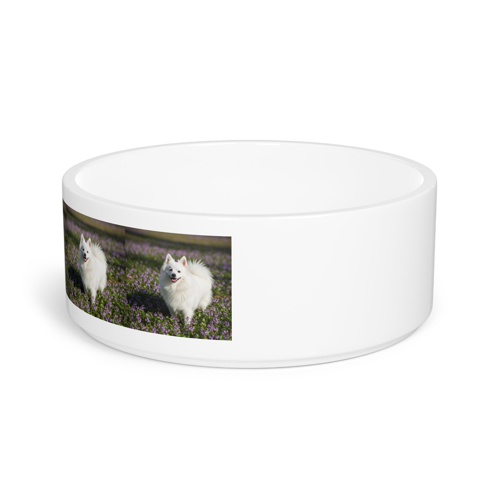 Ceramic Pet Bowl – 16 oz Dog Feeding Bowl