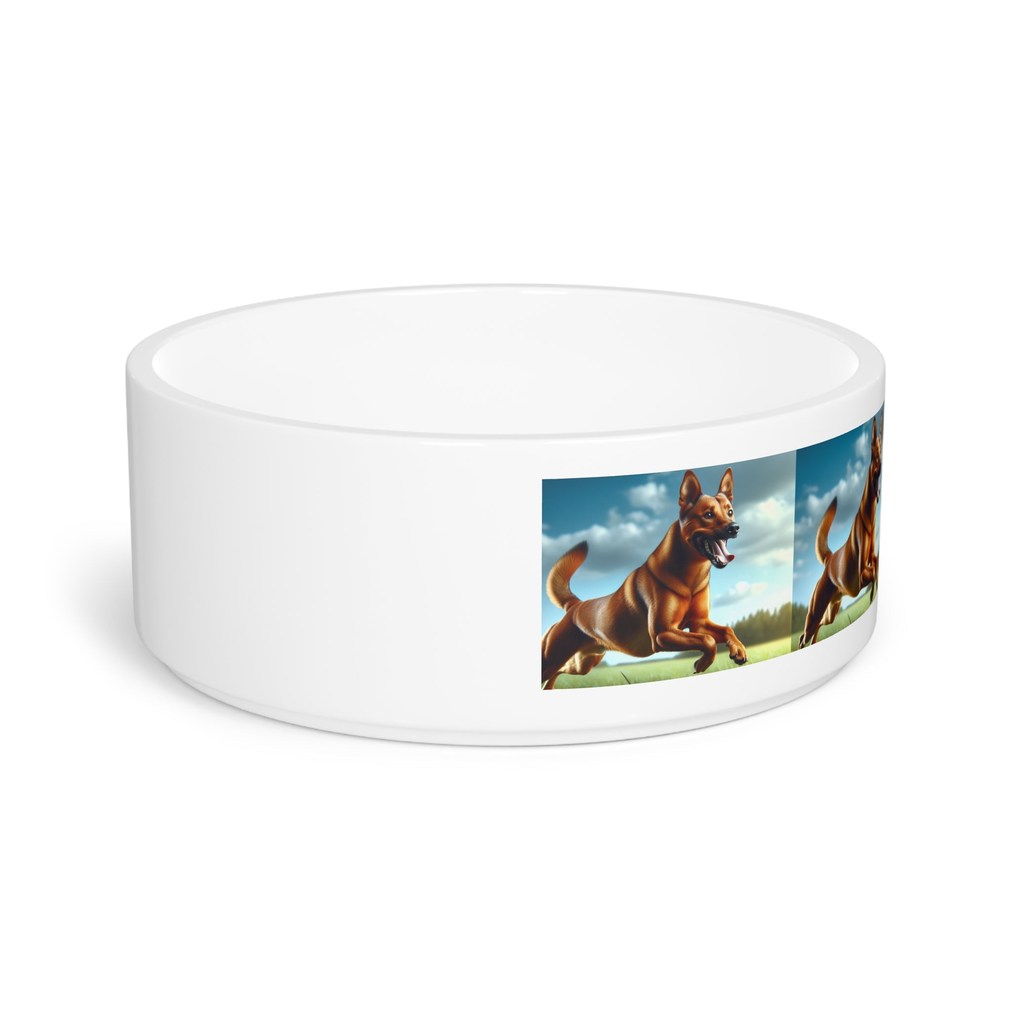 Ceramic Pet Bowl – 16 oz Dog Feeding Bowl