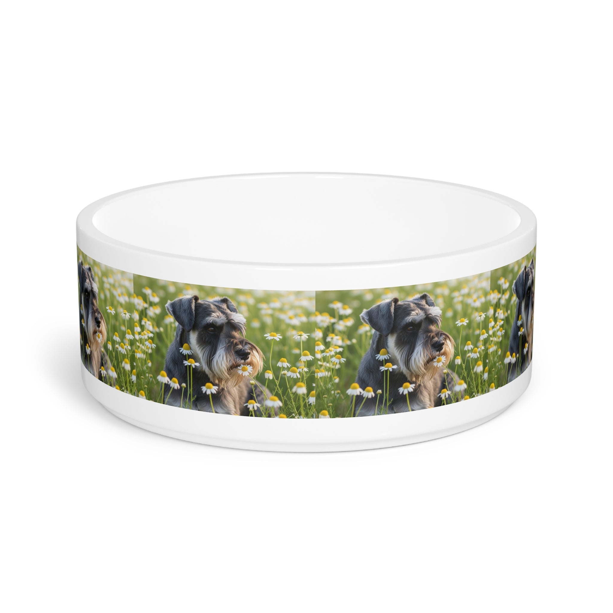 Ceramic Pet Bowl – 16 oz Dog Feeding Bowl