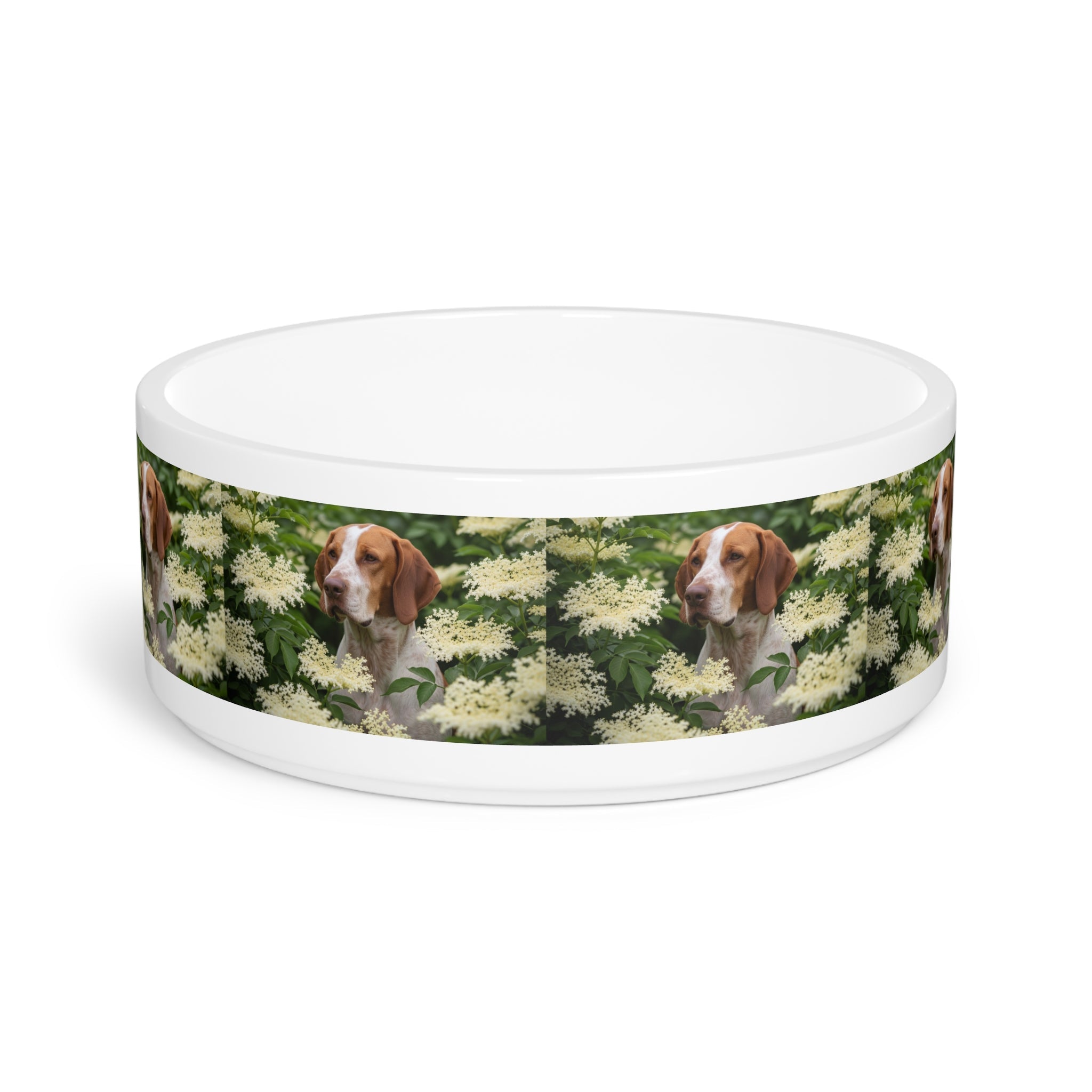 Ceramic Pet Bowl – 16 oz Dog Feeding Bowl
