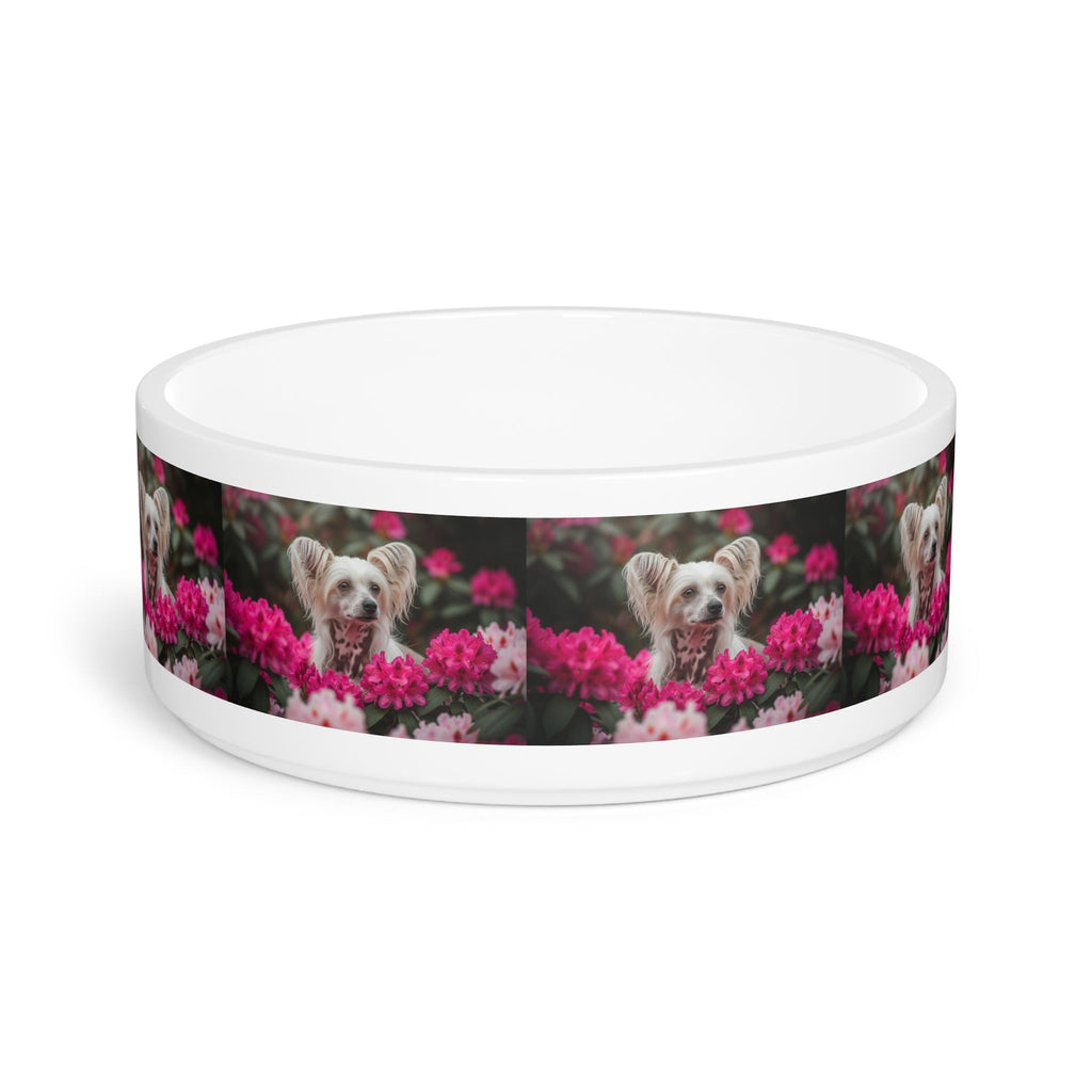 Ceramic Pet Bowl – 16 oz Dog Feeding Bowl
