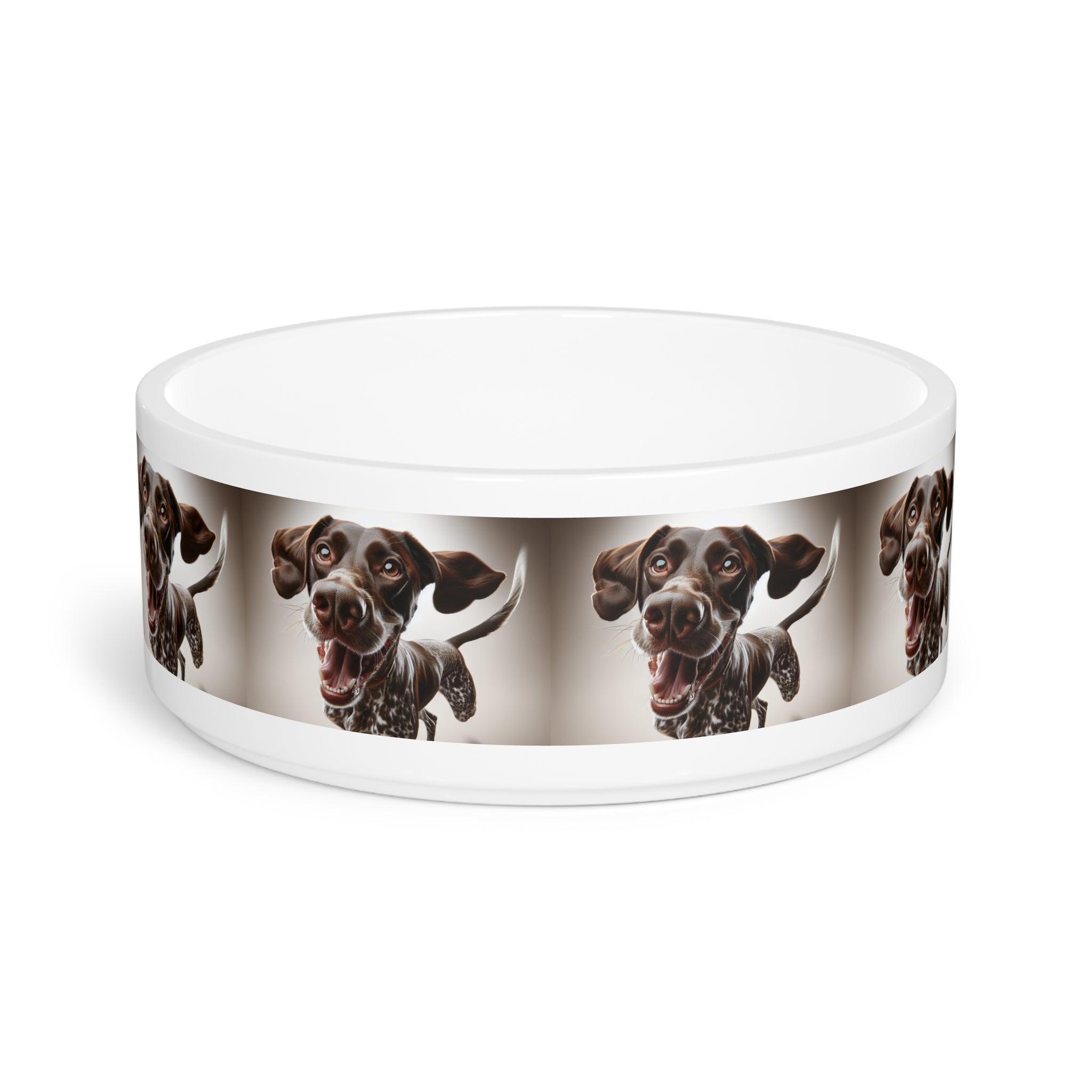Ceramic Pet Bowl – 16 oz Dog Feeding Bowl