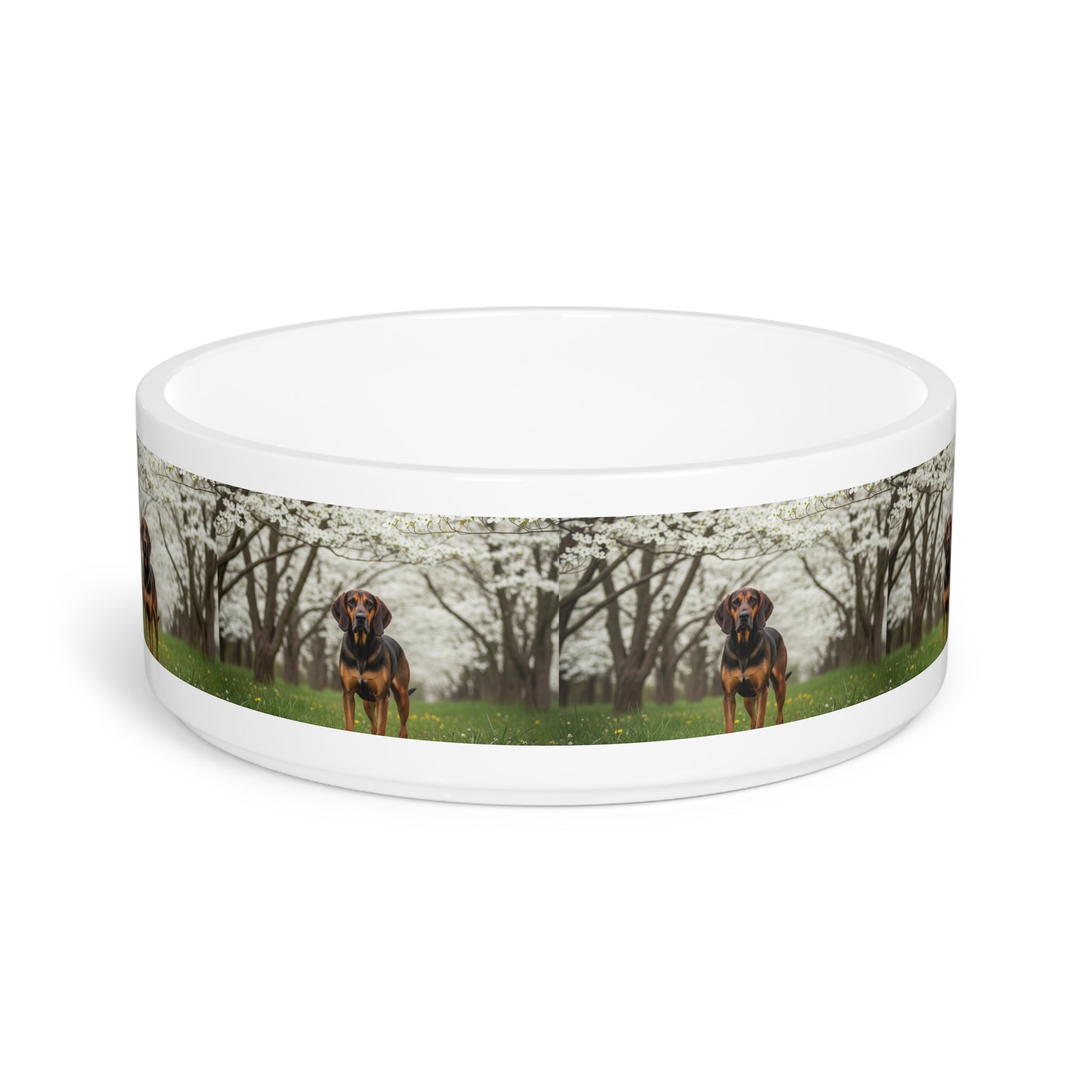 Ceramic Pet Bowl – 16 oz Dog Feeding Bowl