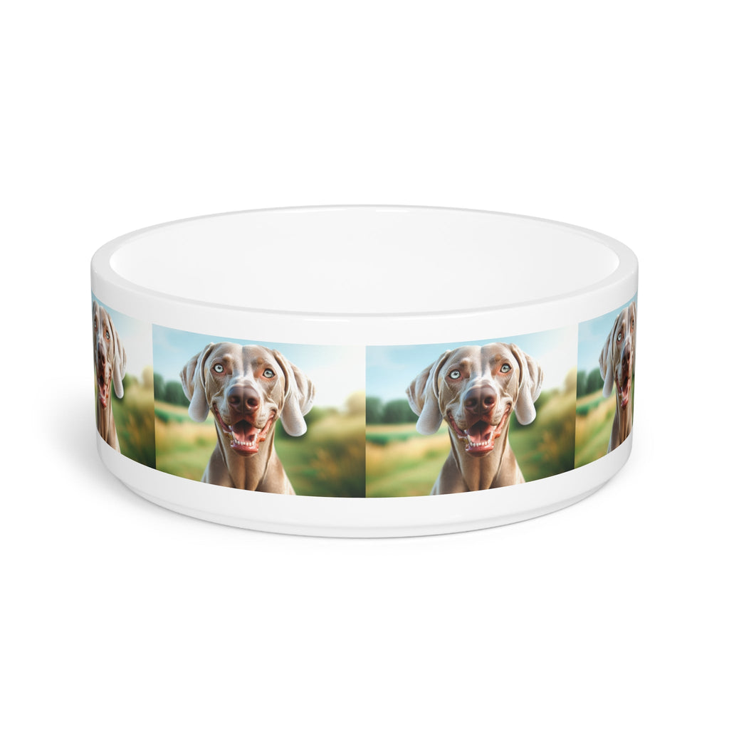 Ceramic Pet Bowl – 16 oz Dog Feeding Bowl