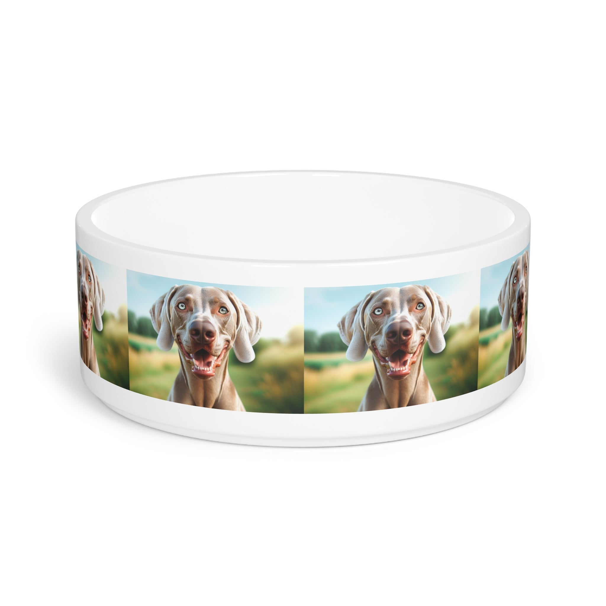 Ceramic Pet Bowl – 16 oz Dog Feeding Bowl