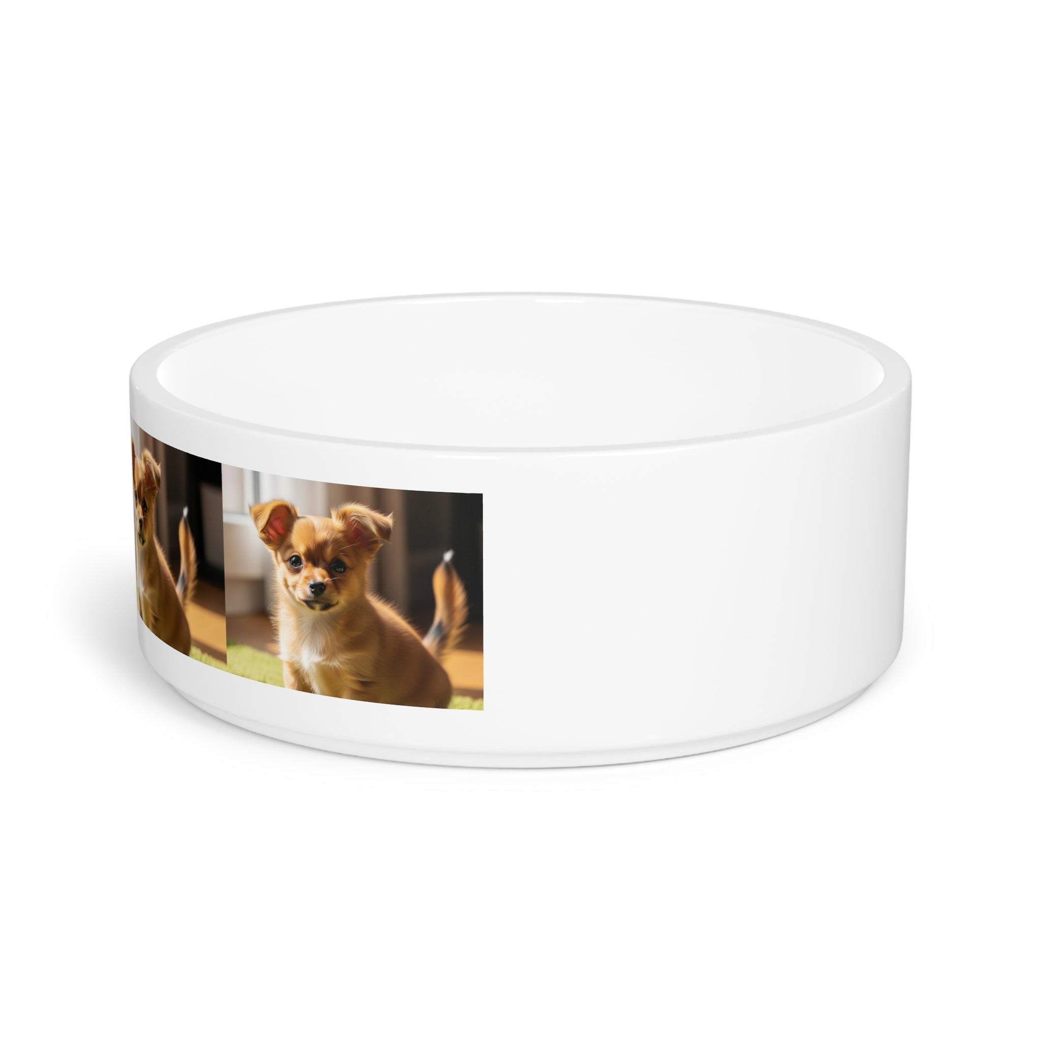 Ceramic Pet Bowl – 16 oz Dog Feeding Bowl
