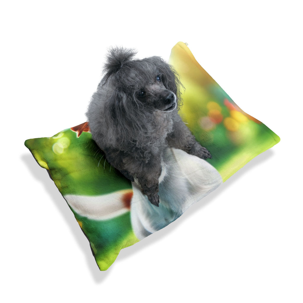 Pet Bed – Plush Dog Bed, 3 Size Options