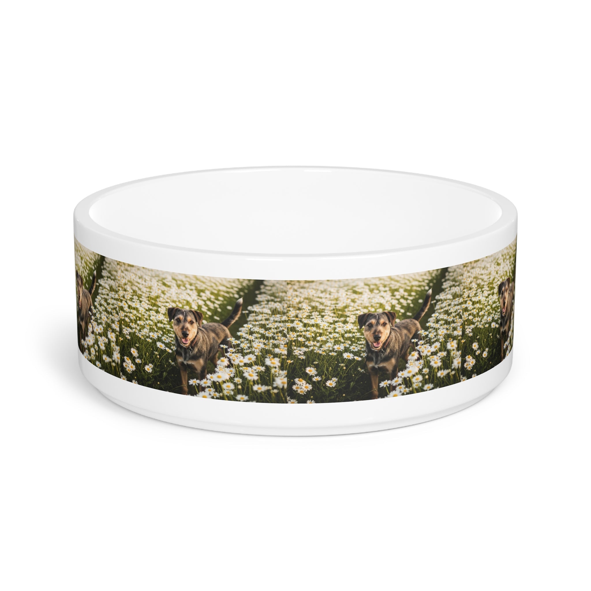 Ceramic Pet Bowl – 16 oz Dog Feeding Bowl
