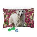 Pet Bed – Plush Dog Bed, 3 Size Options