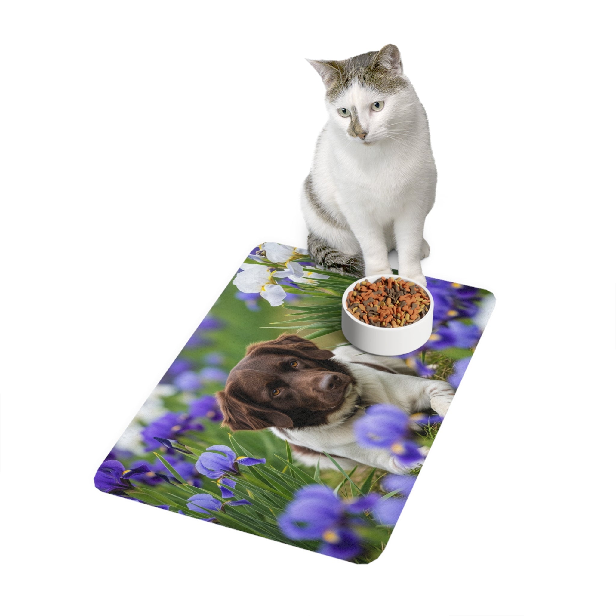 Non-Slip Pet Food Mat – Waterproof Feeding Mat for Dogs