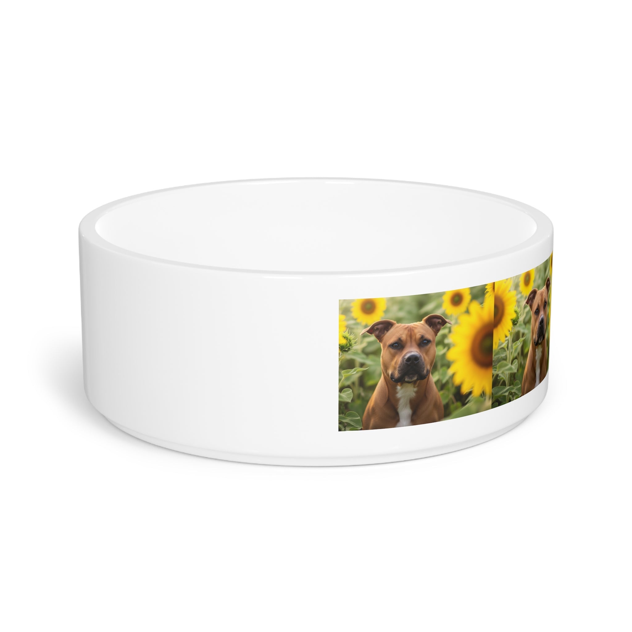 Ceramic Pet Bowl – 16 oz Dog Feeding Bowl