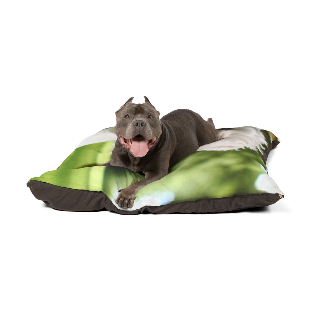 Pet Bed – Plush Dog Bed, 3 Size Options