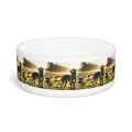 Ceramic Pet Bowl – 16 oz Dog Feeding Bowl