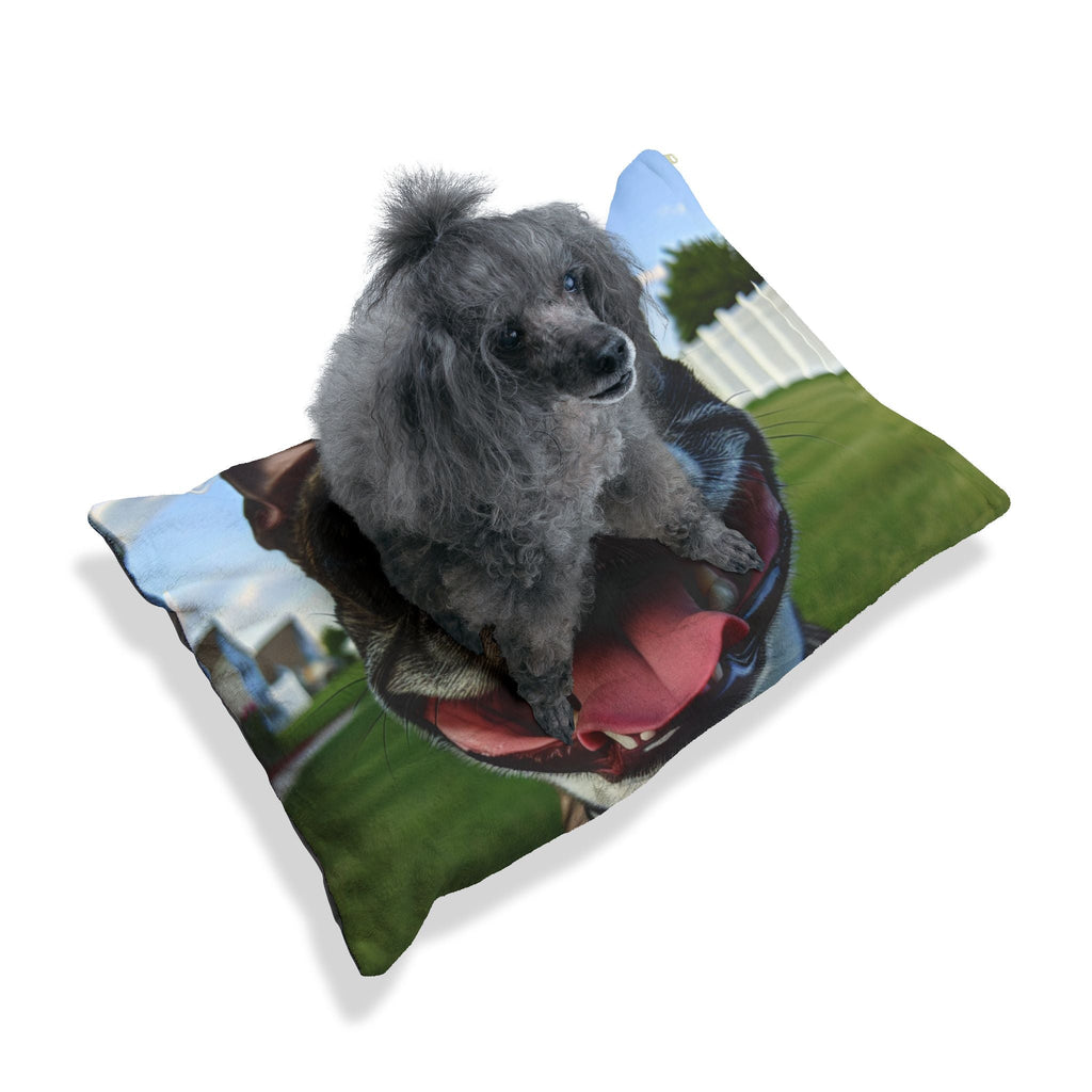 Pet Bed – Plush Dog Bed, 3 Size Options