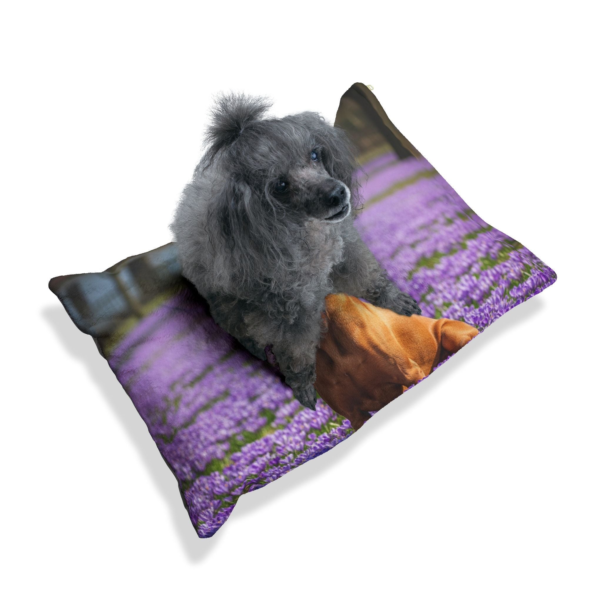 Pet Bed – Plush Dog Bed, 3 Size Options