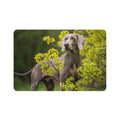Non-Slip Pet Food Mat – Waterproof Feeding Mat for Dogs