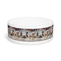 Ceramic Pet Bowl – 16 oz Dog Feeding Bowl