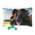 Pet Bed – Plush Dog Bed, 3 Size Options