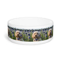 Ceramic Pet Bowl – 16 oz Dog Feeding Bowl