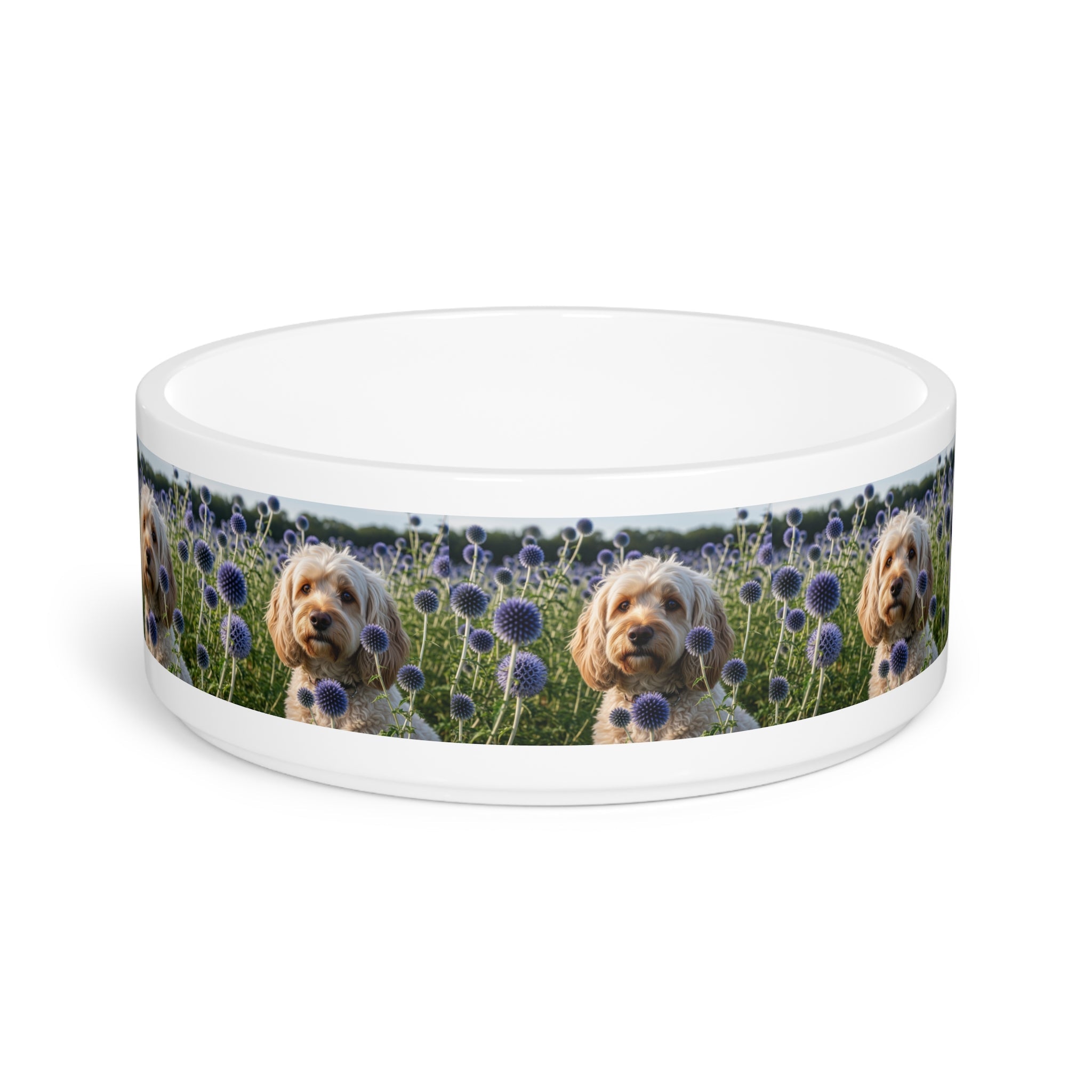 Ceramic Pet Bowl – 16 oz Dog Feeding Bowl