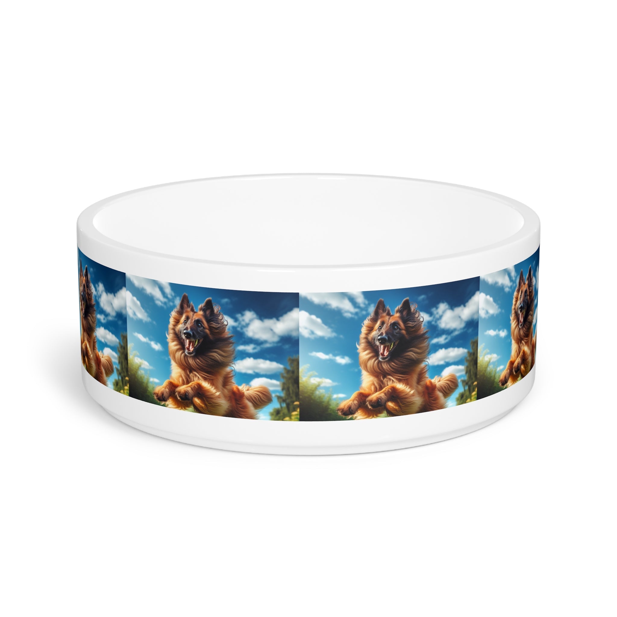 Ceramic Pet Bowl – 16 oz Dog Feeding Bowl