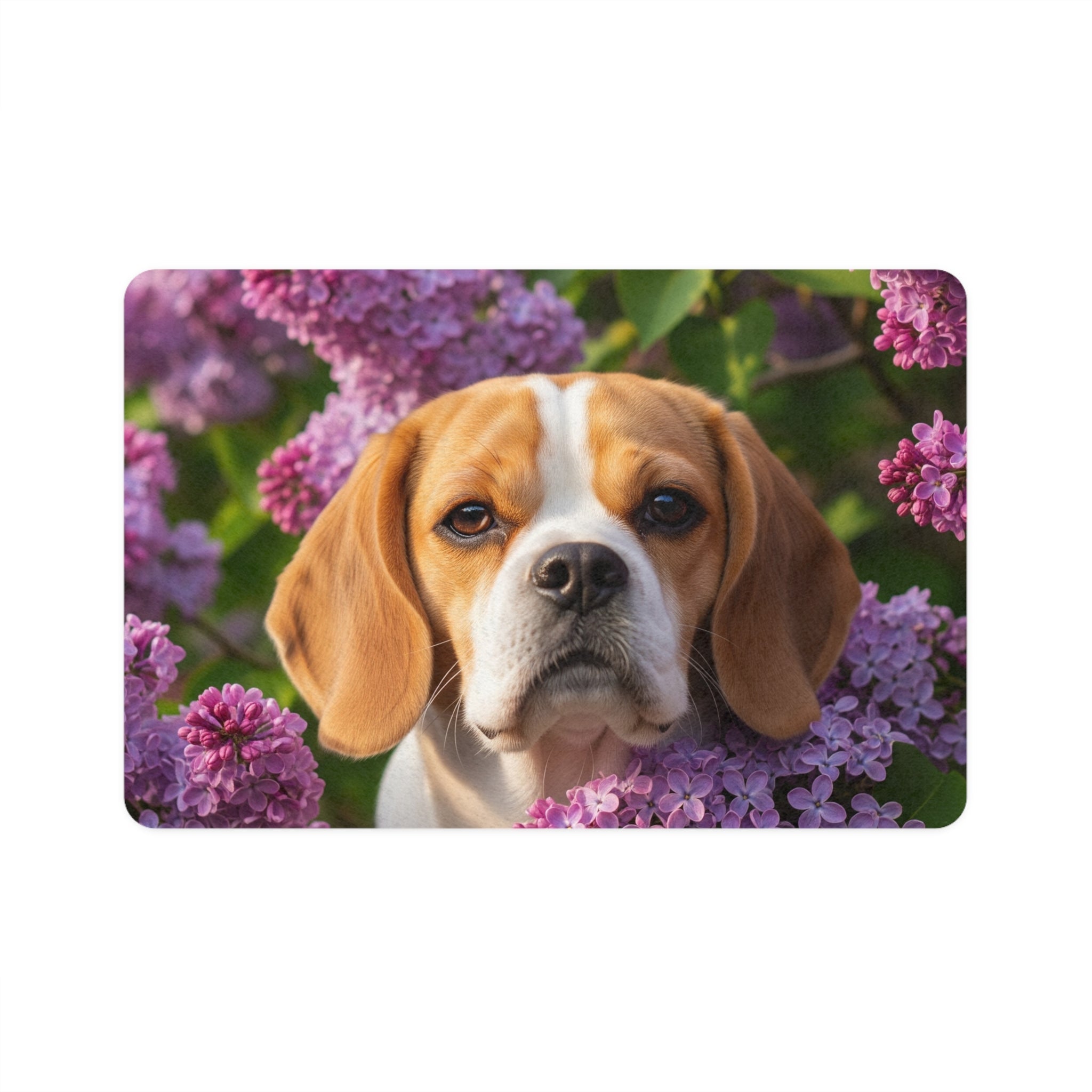 Non-Slip Pet Food Mat – Waterproof Feeding Mat for Dogs