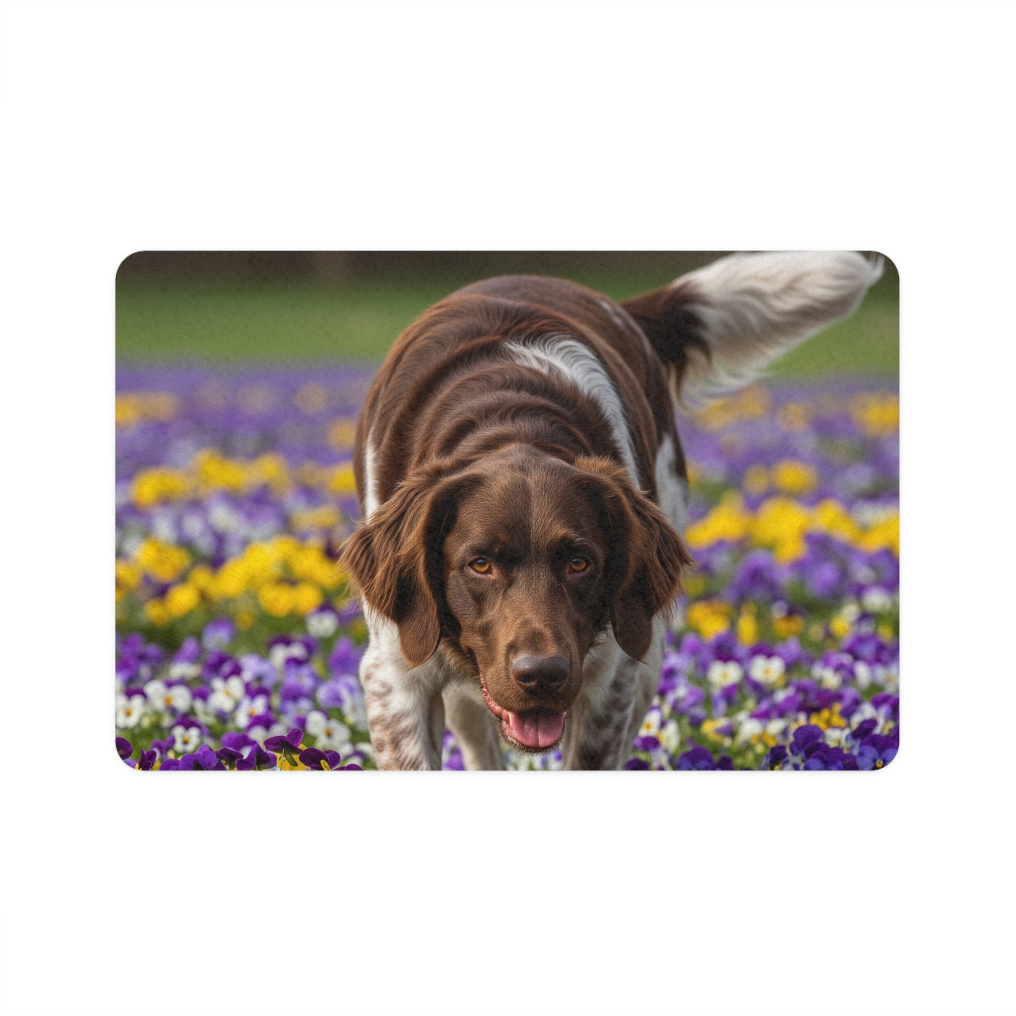 Non-Slip Pet Food Mat – Waterproof Feeding Mat for Dogs
