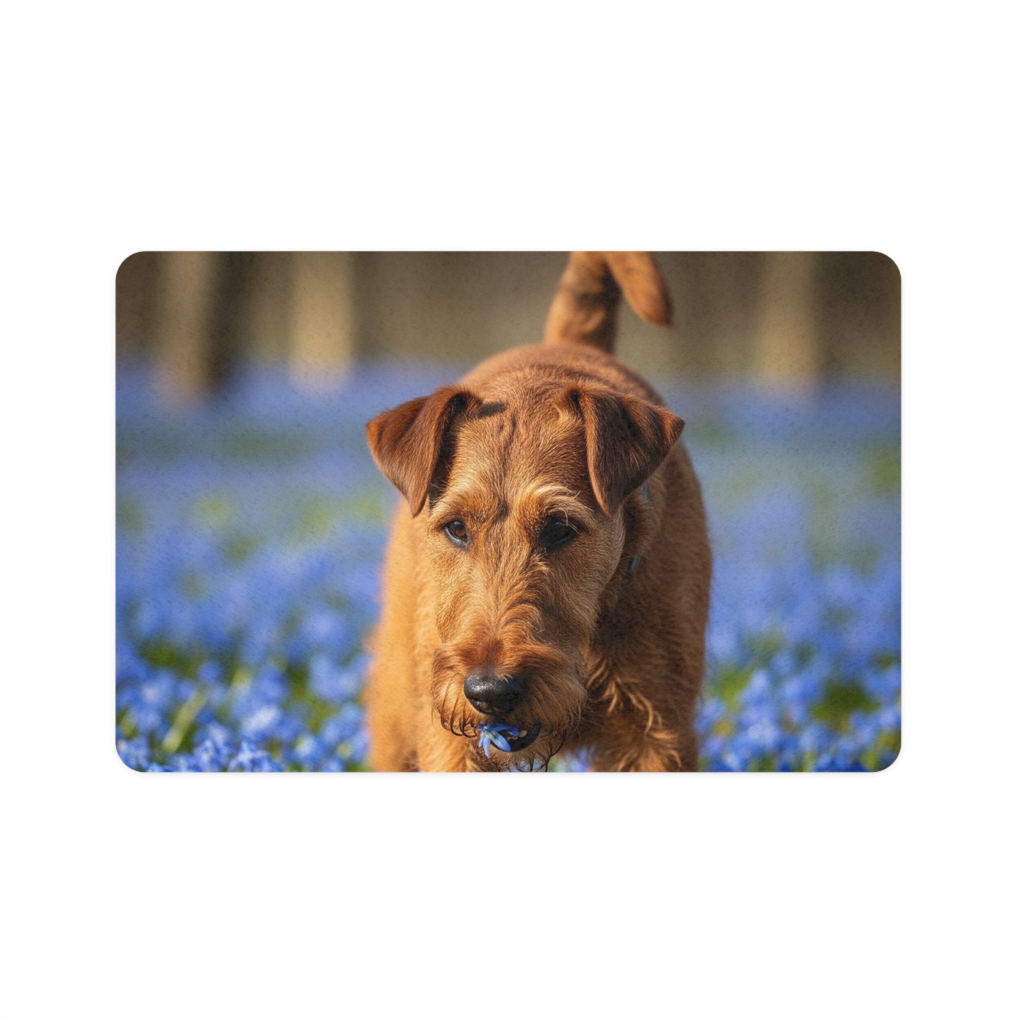 Non-Slip Pet Food Mat – Waterproof Feeding Mat for Dogs