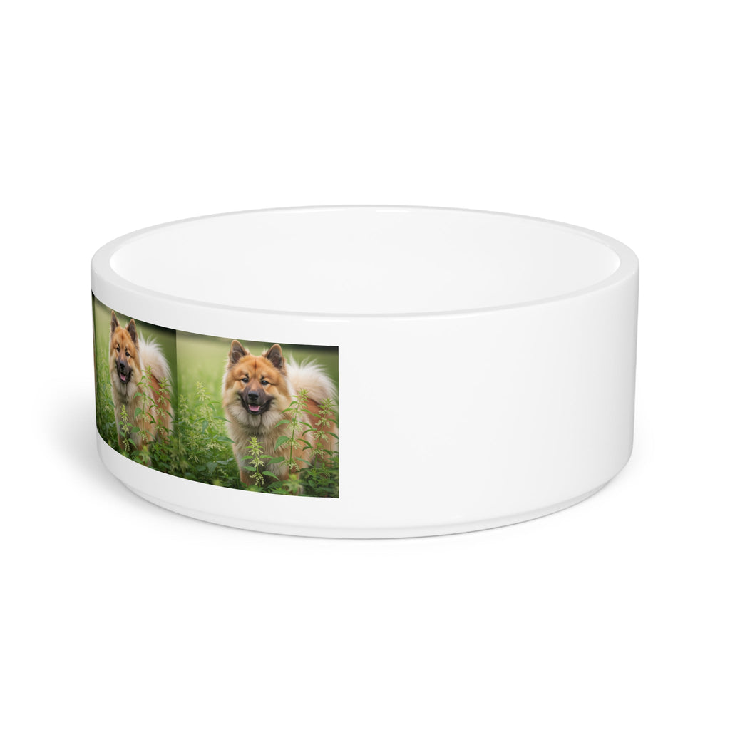 Ceramic Pet Bowl – 16 oz Dog Feeding Bowl