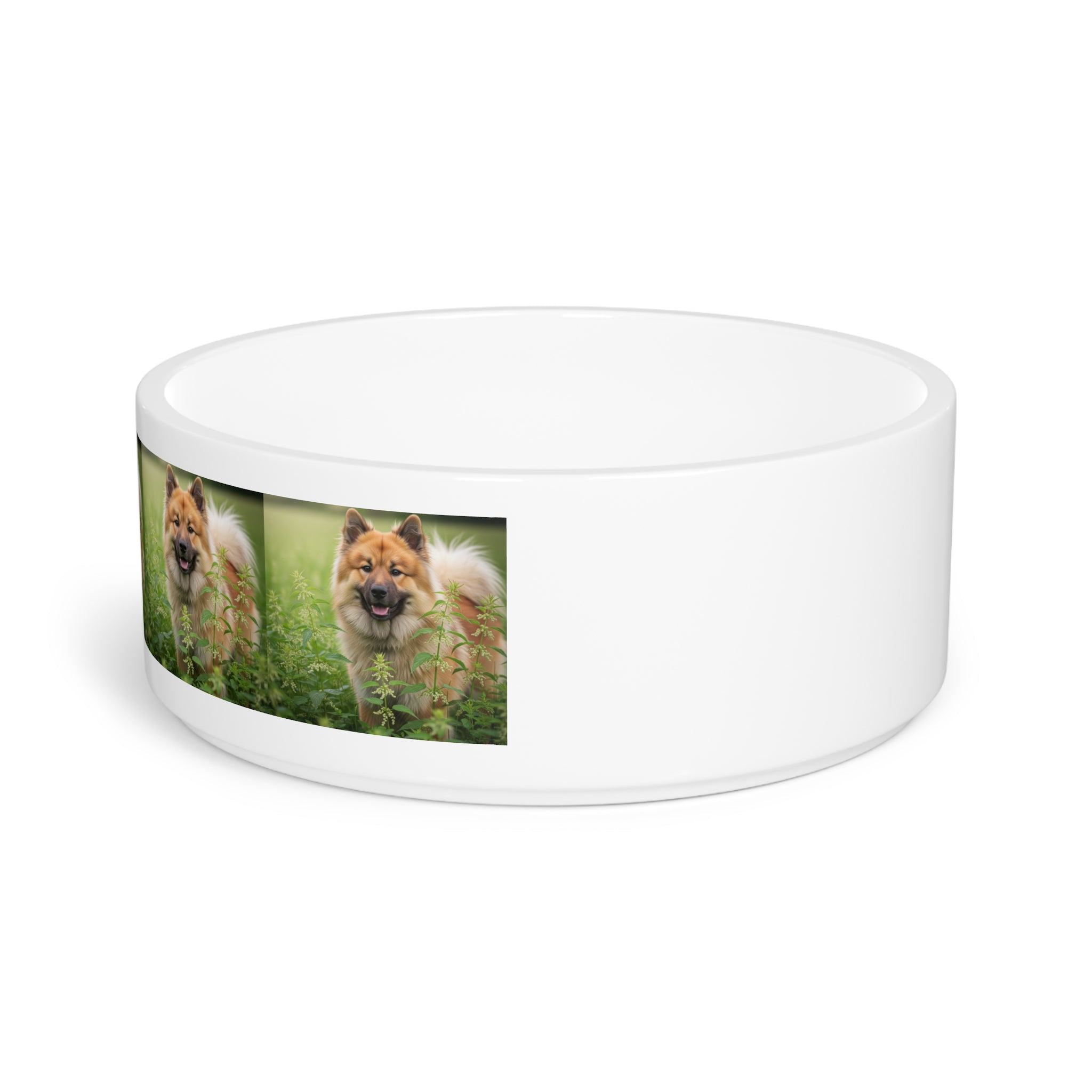 Ceramic Pet Bowl – 16 oz Dog Feeding Bowl