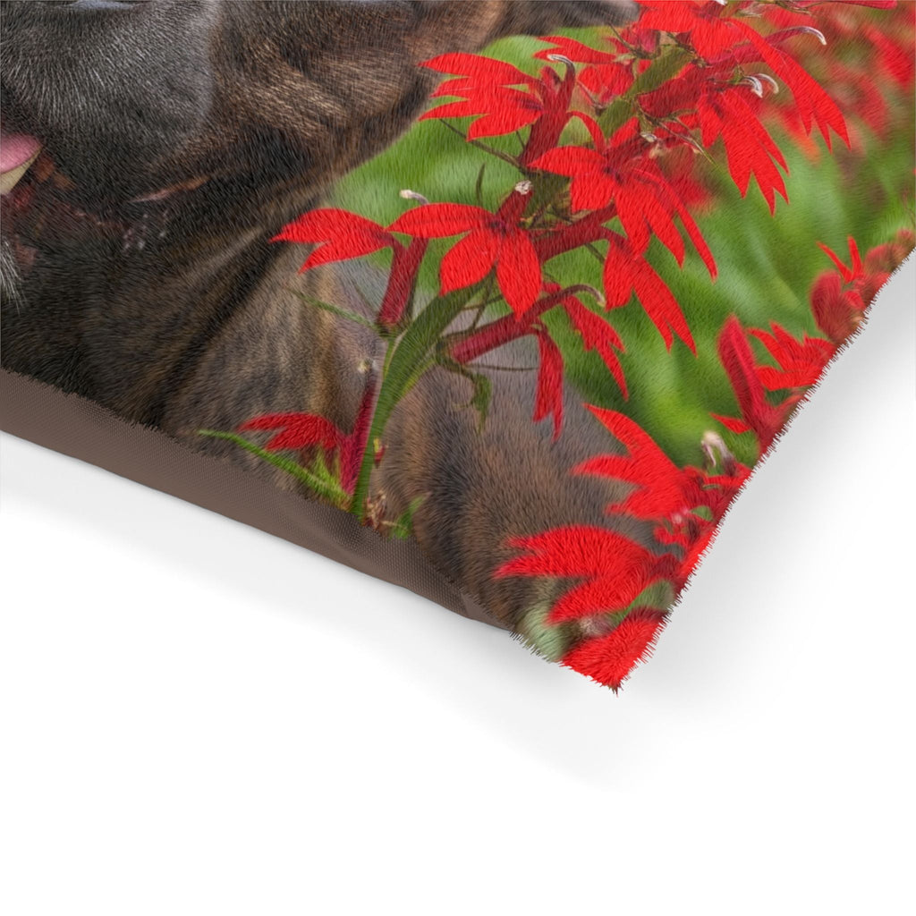 Pet Bed – Plush Dog Bed, 3 Size Options