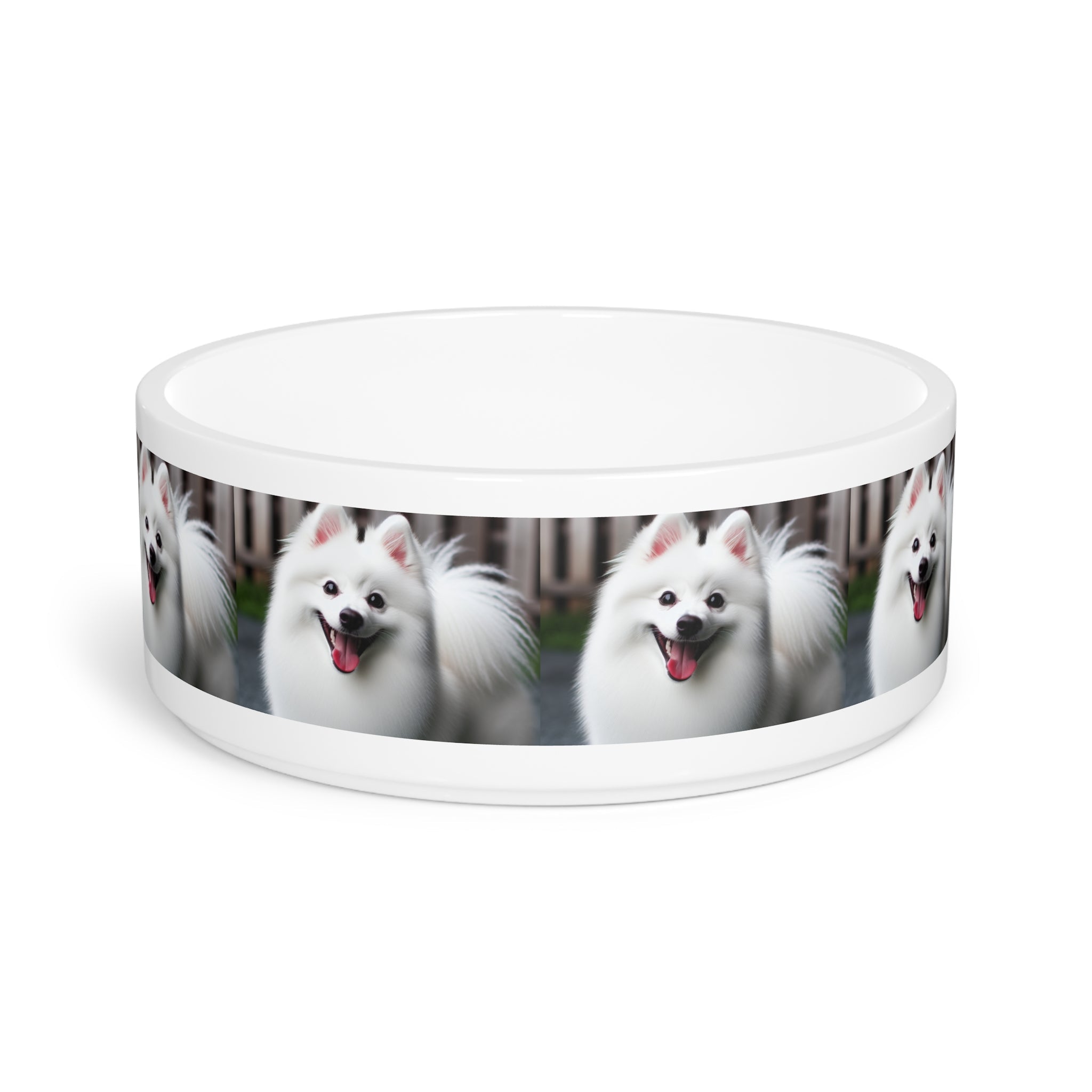 Ceramic Pet Bowl – 16 oz Dog Feeding Bowl