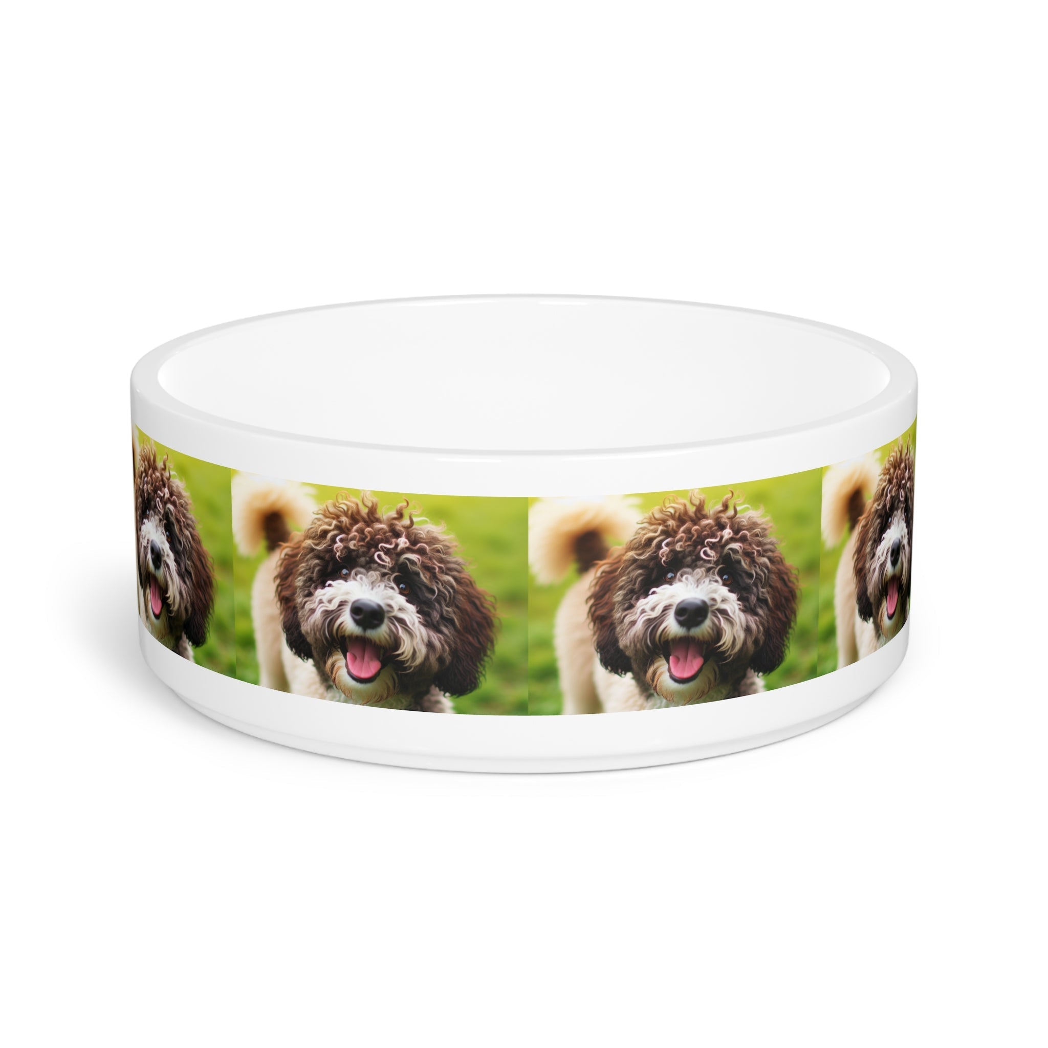 Ceramic Pet Bowl – 16 oz Dog Feeding Bowl